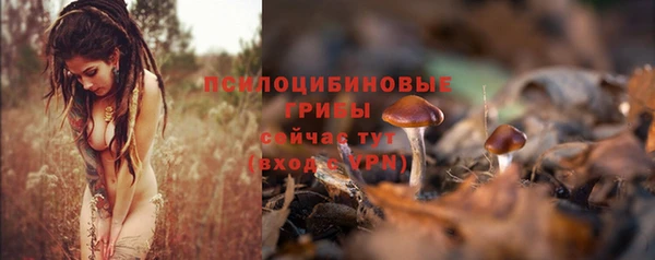 трава Абинск