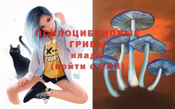 прущий лед Алексеевка