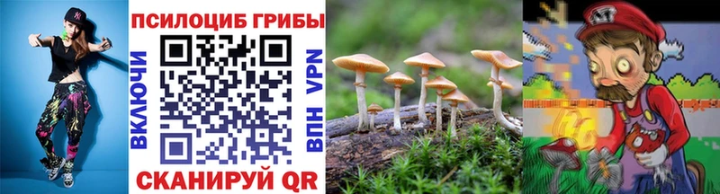 Псилоцибиновые грибы Cubensis  Новоаннинский 